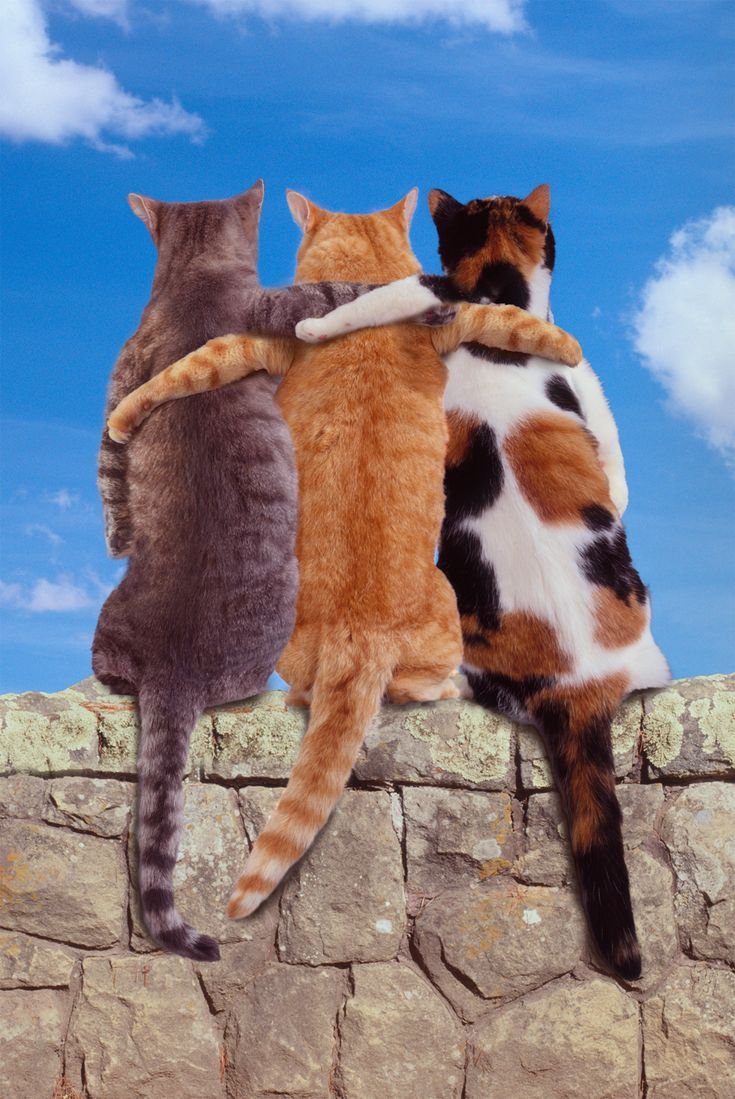 Трое друзей