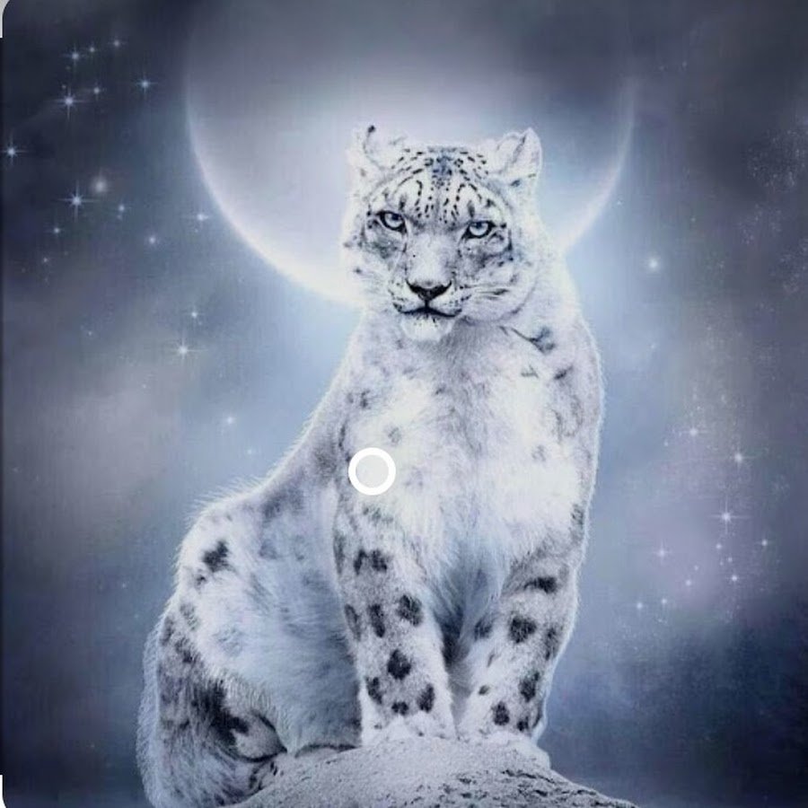 Снежный Барс и леопард