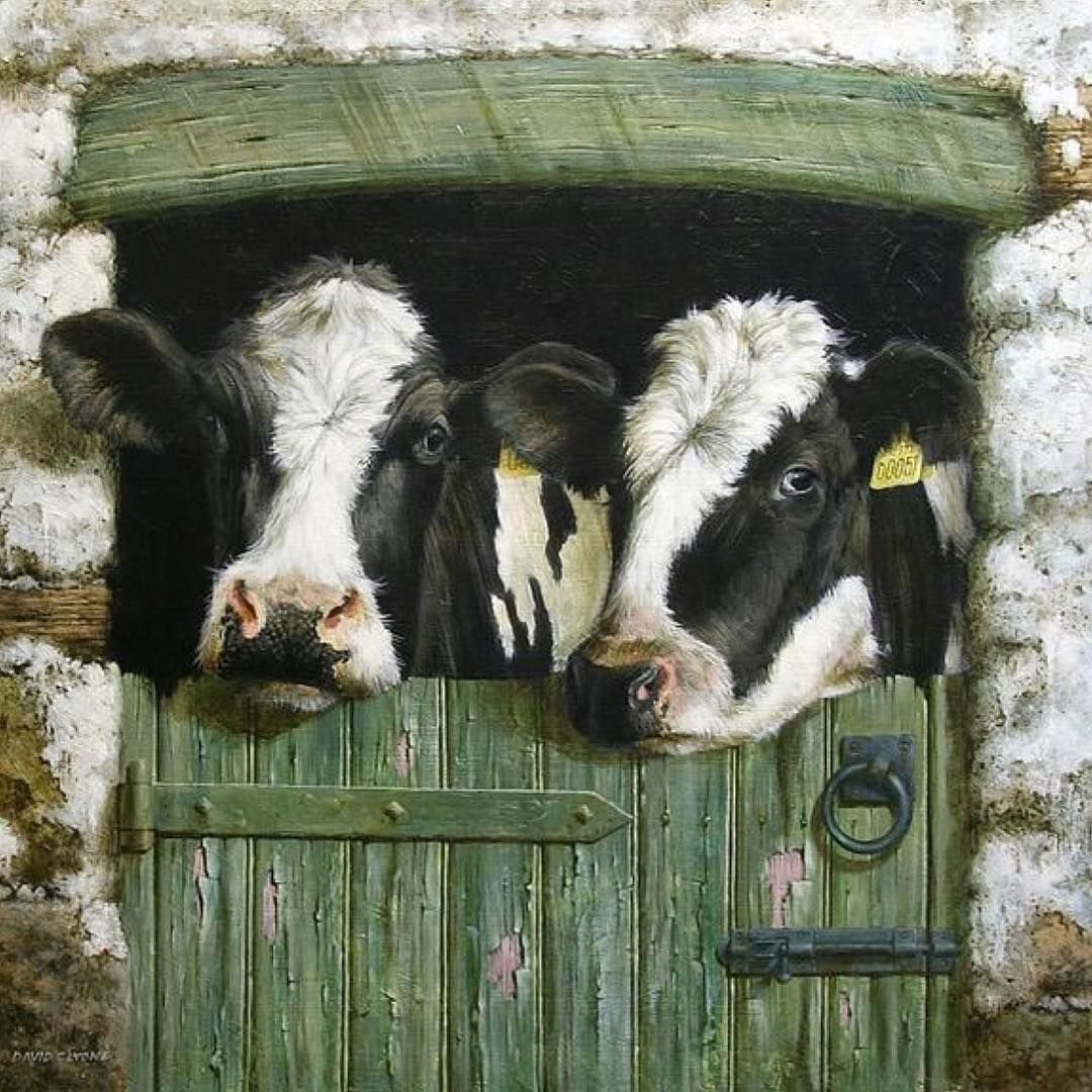 Теленок лежит