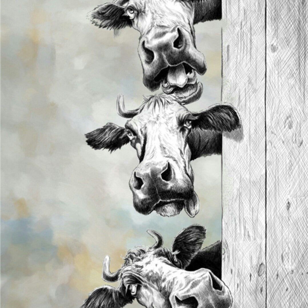 Корова на улице