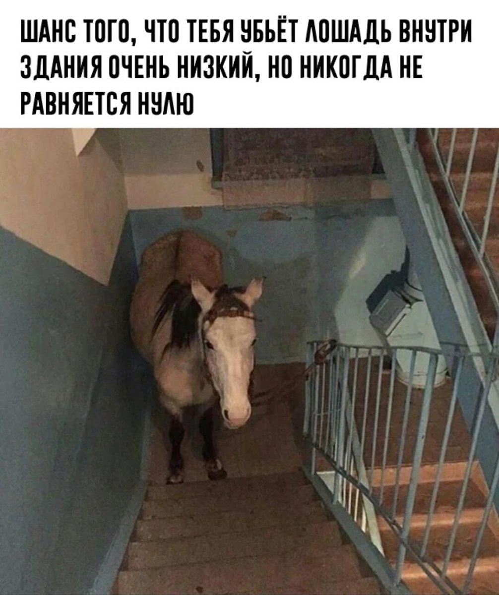 Конь в подъезде