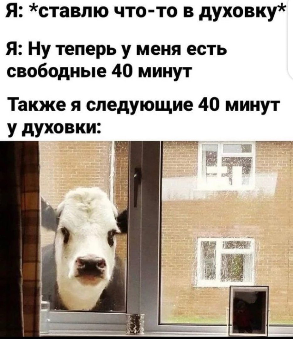 Таблички для собачников