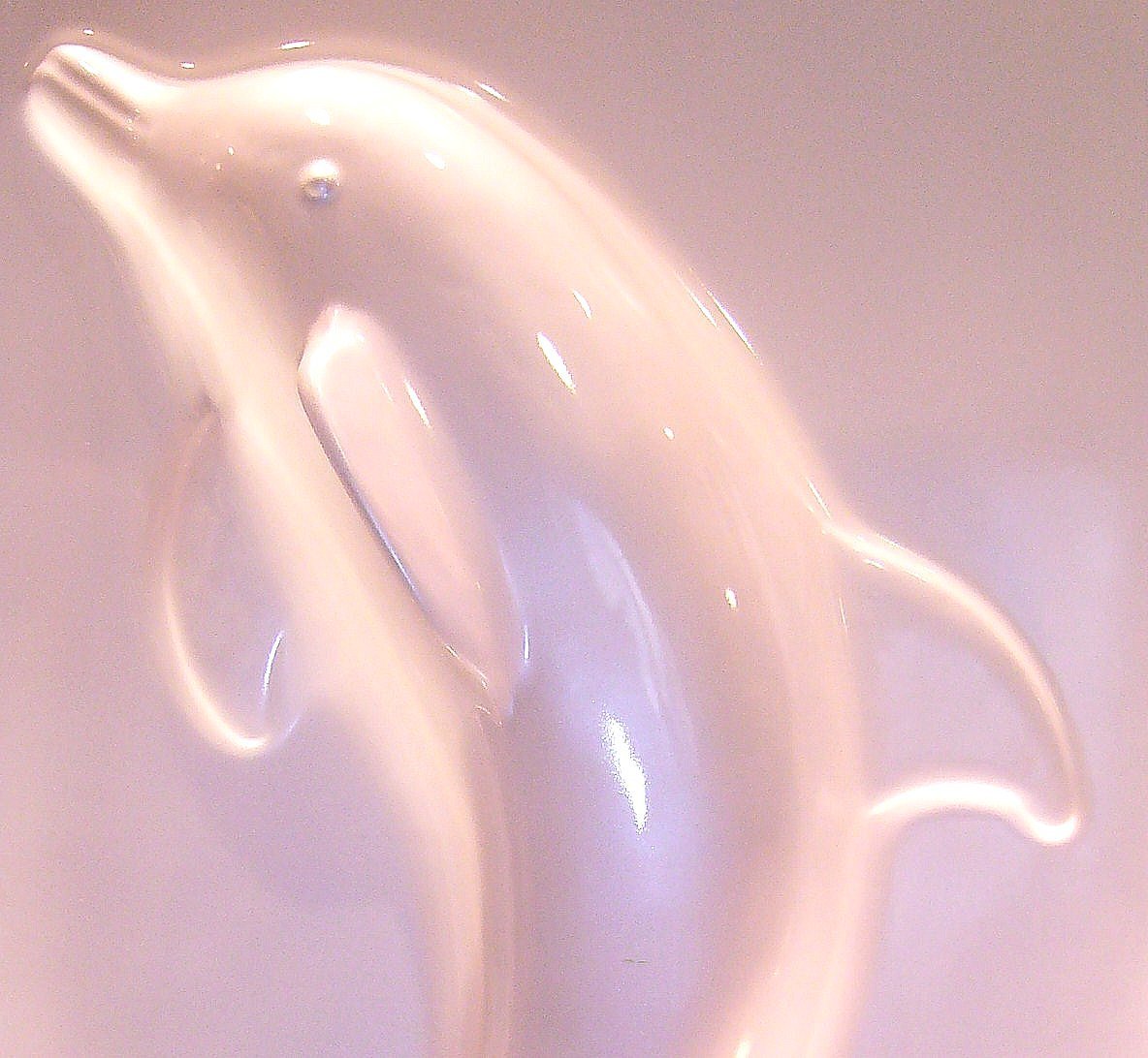 Дельфин рифы