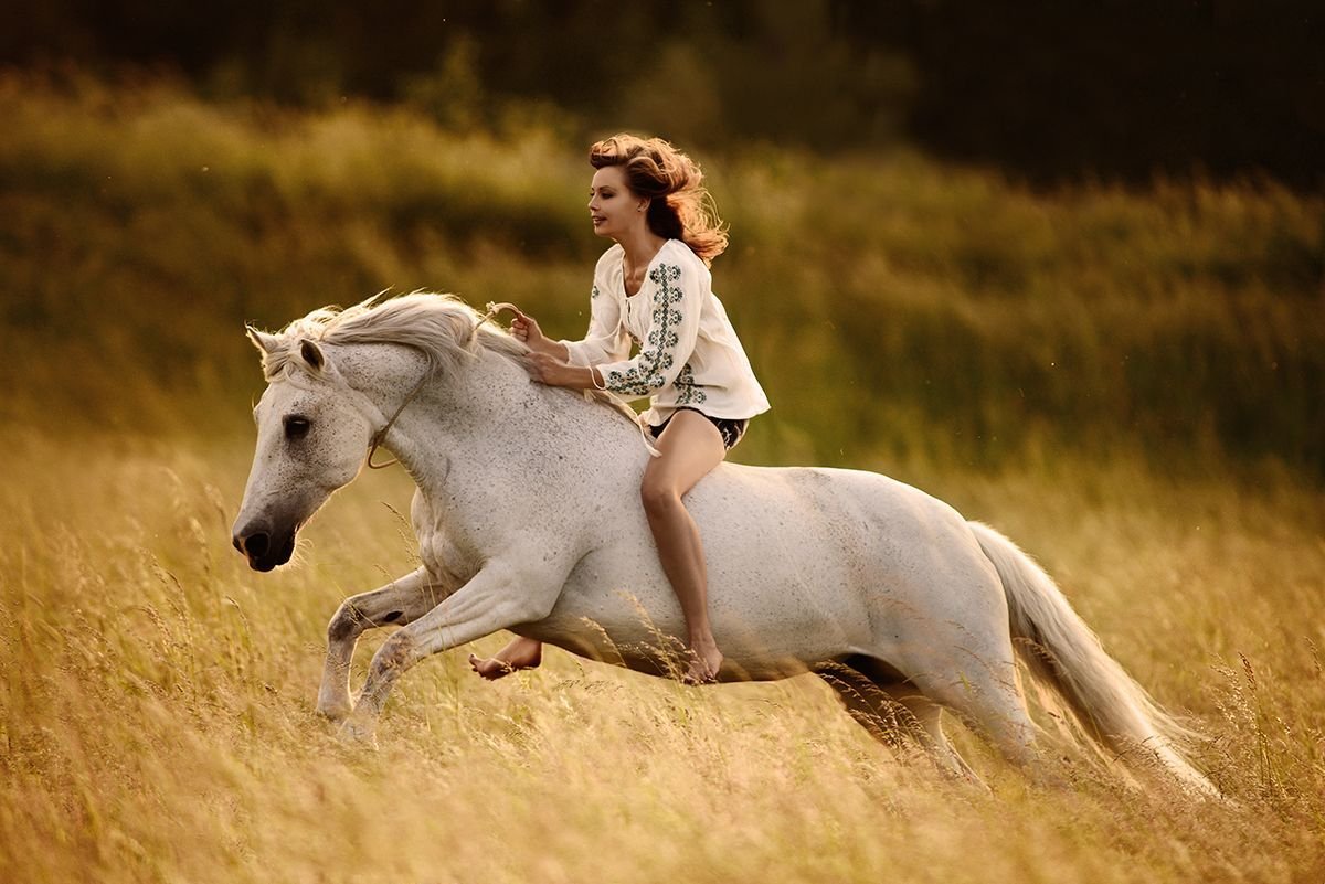 Человек на лошади