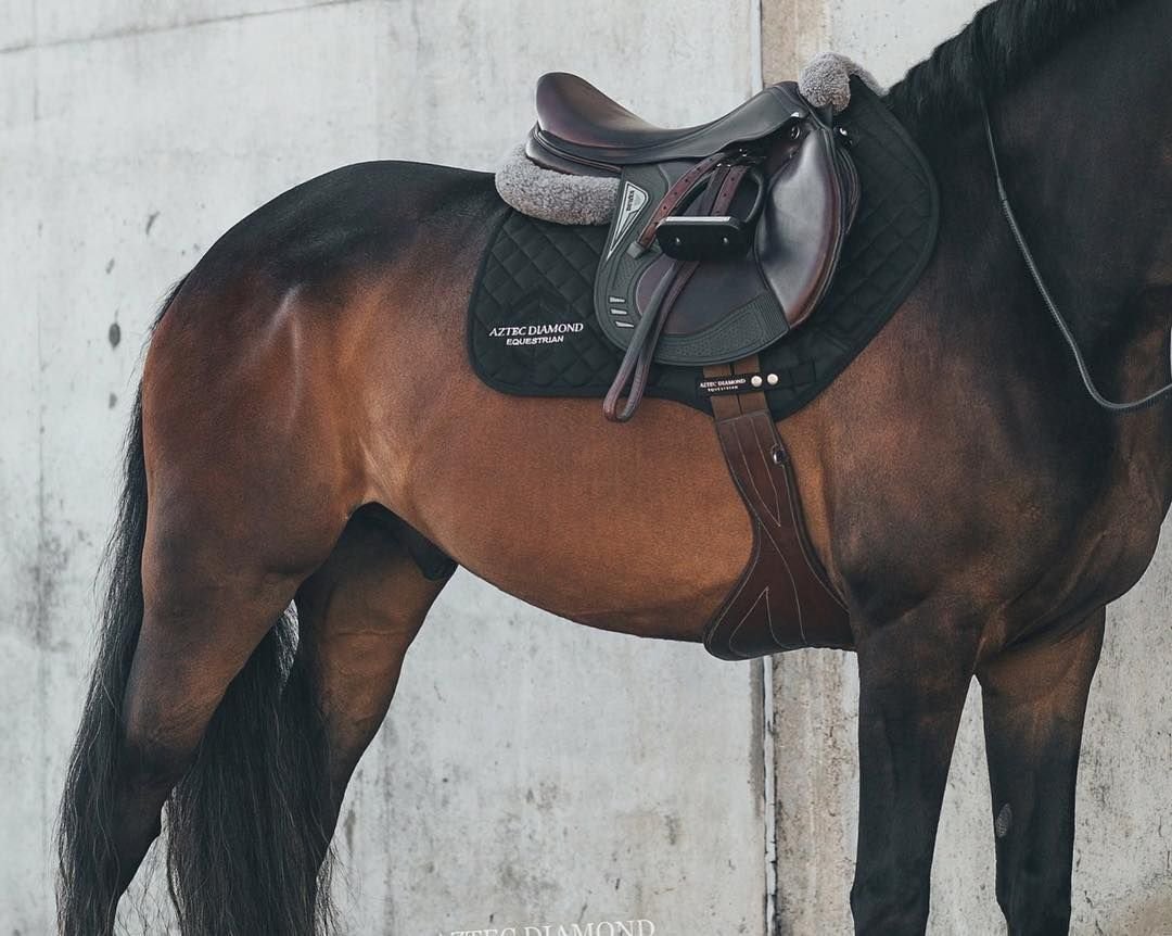 Черное седло для лошади