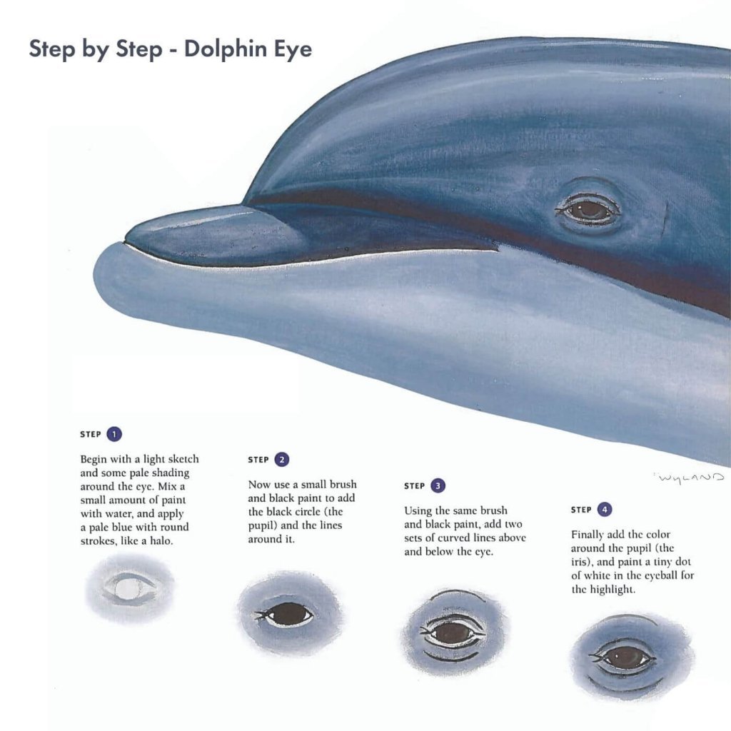 Касатки нападают на людей