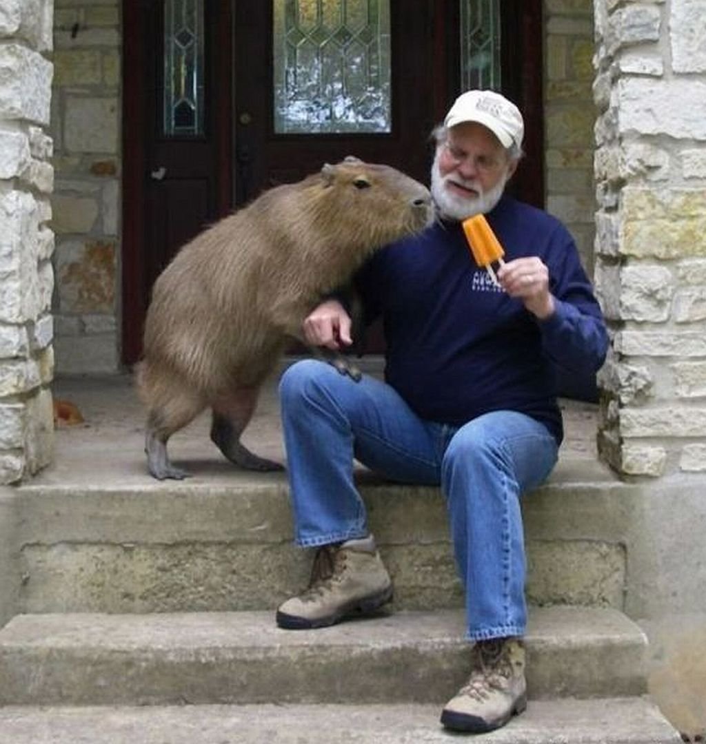 Большая Подвальная крыса