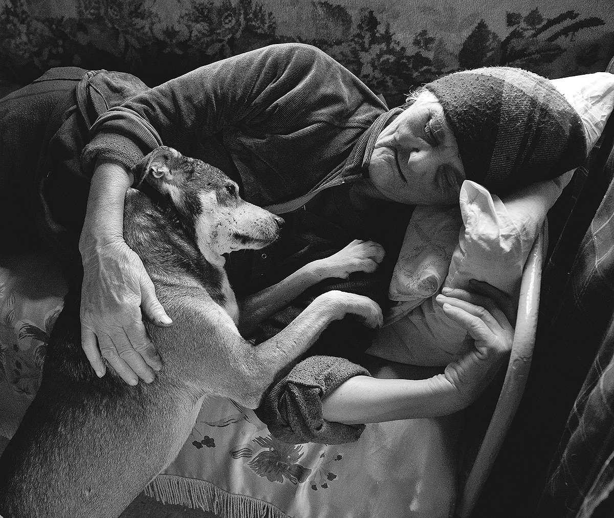 Милосердие к животным