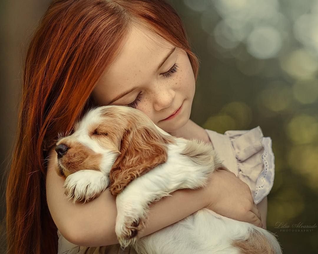 Афоризмы о бездомных животных