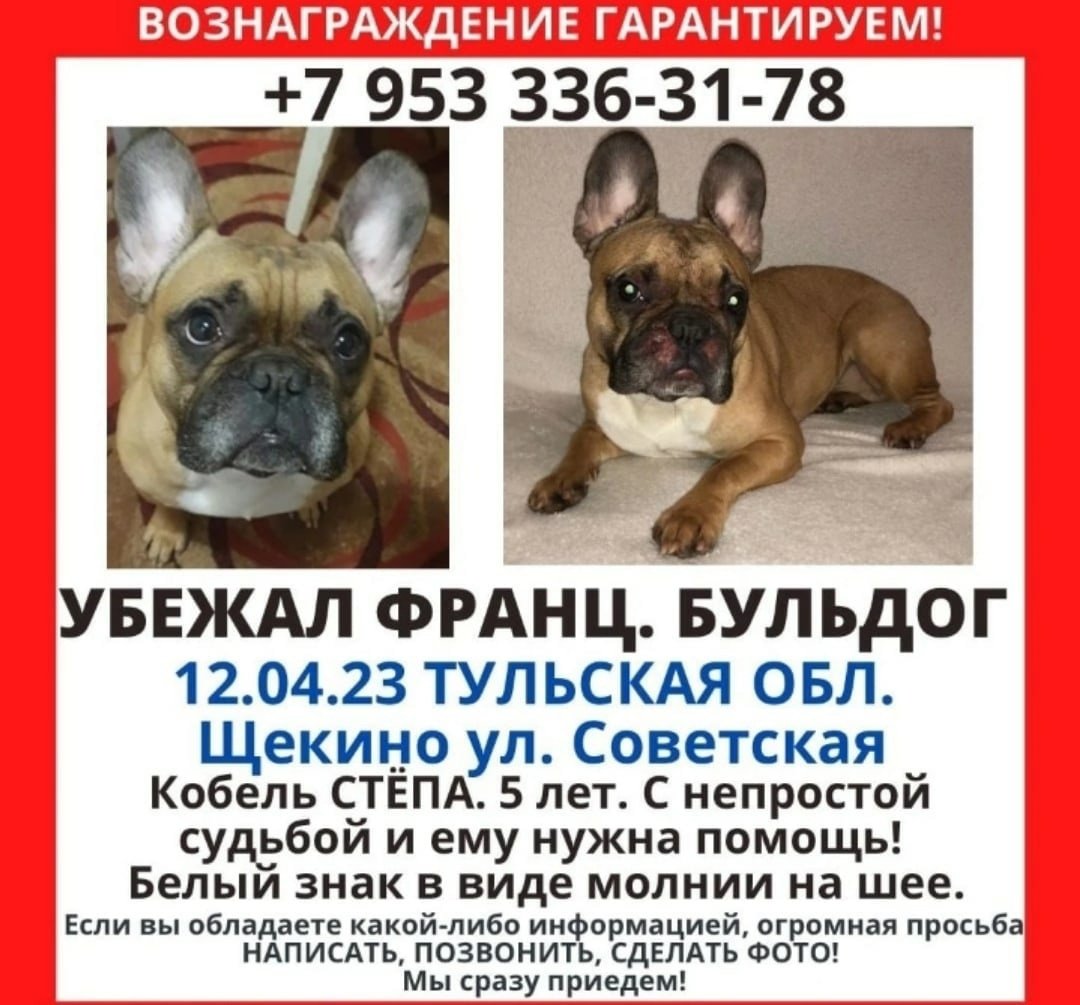 Обнимает собаку