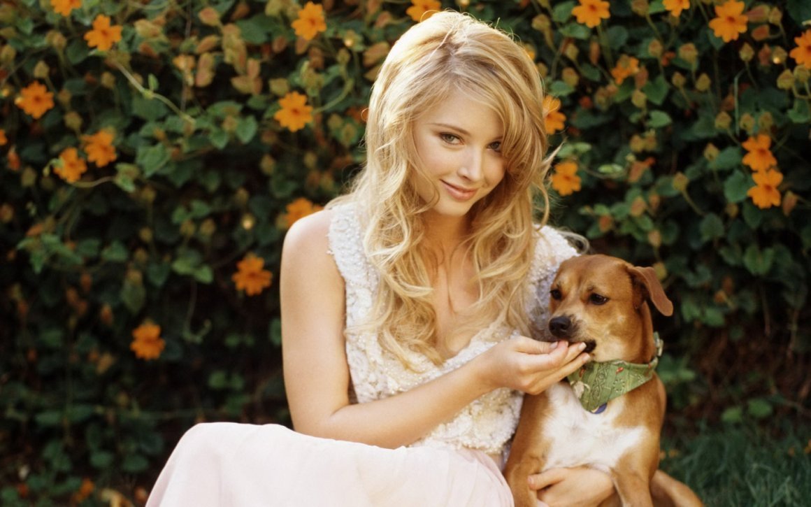 Элизабет Арнуа