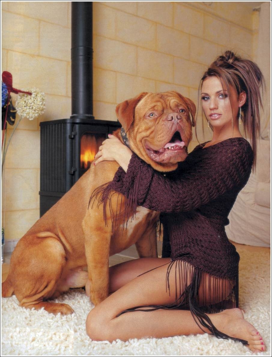 Собаки близняшки