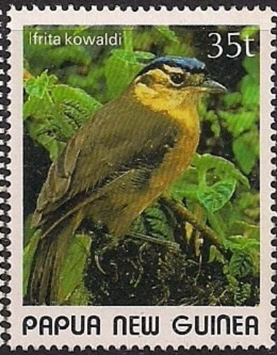 Бедная морская фауна