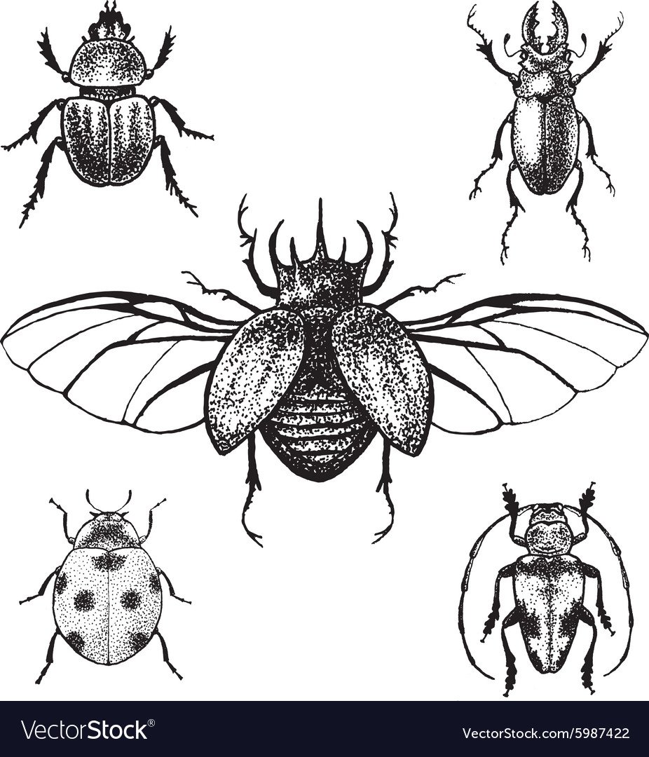 Черный Жук 2 см