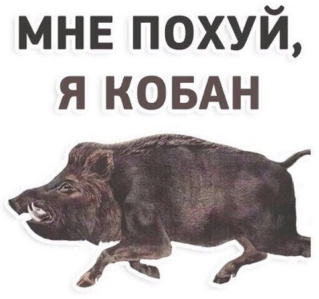 Дикий кабан
