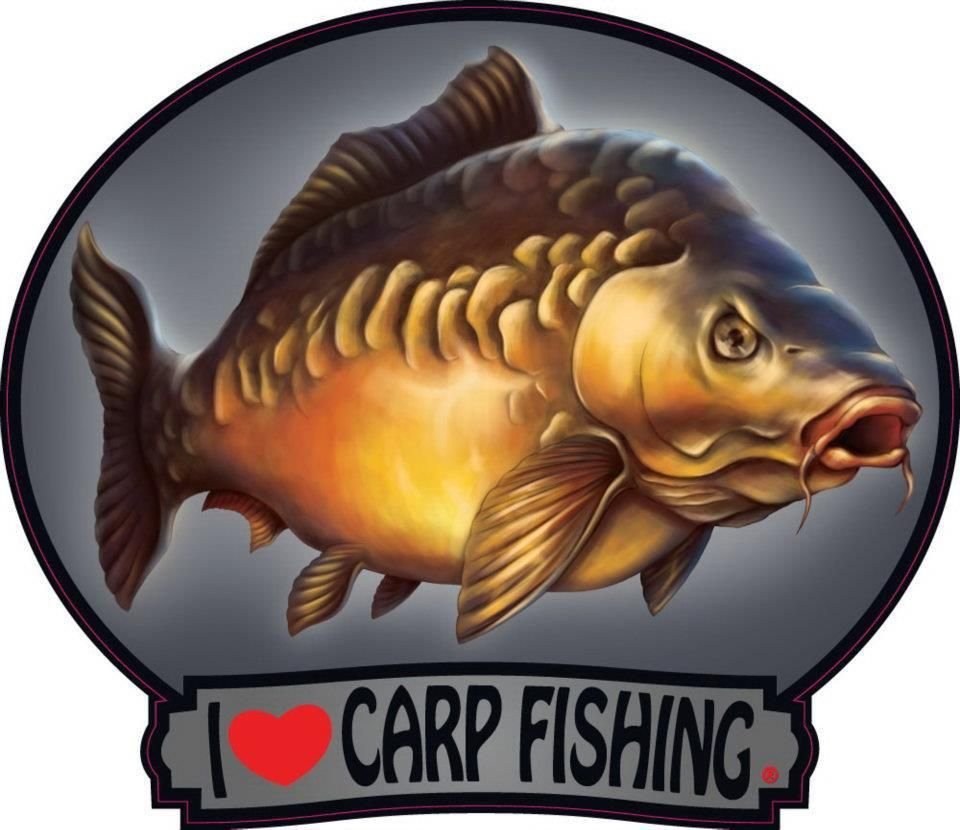 Карп логотип