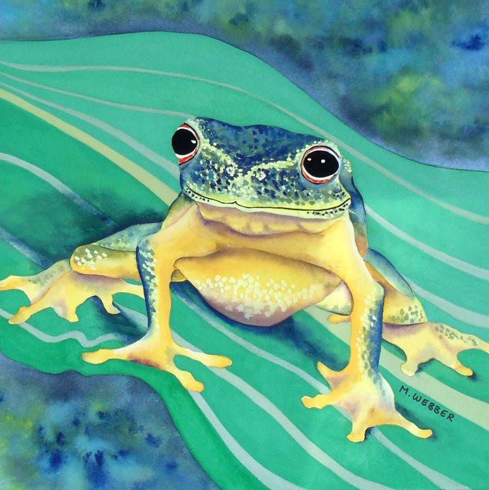 Джунгливская лягушка