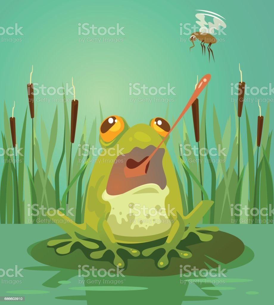 Аждаха жаба