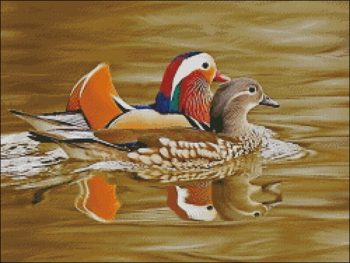 Птички мандаринки фен шуй