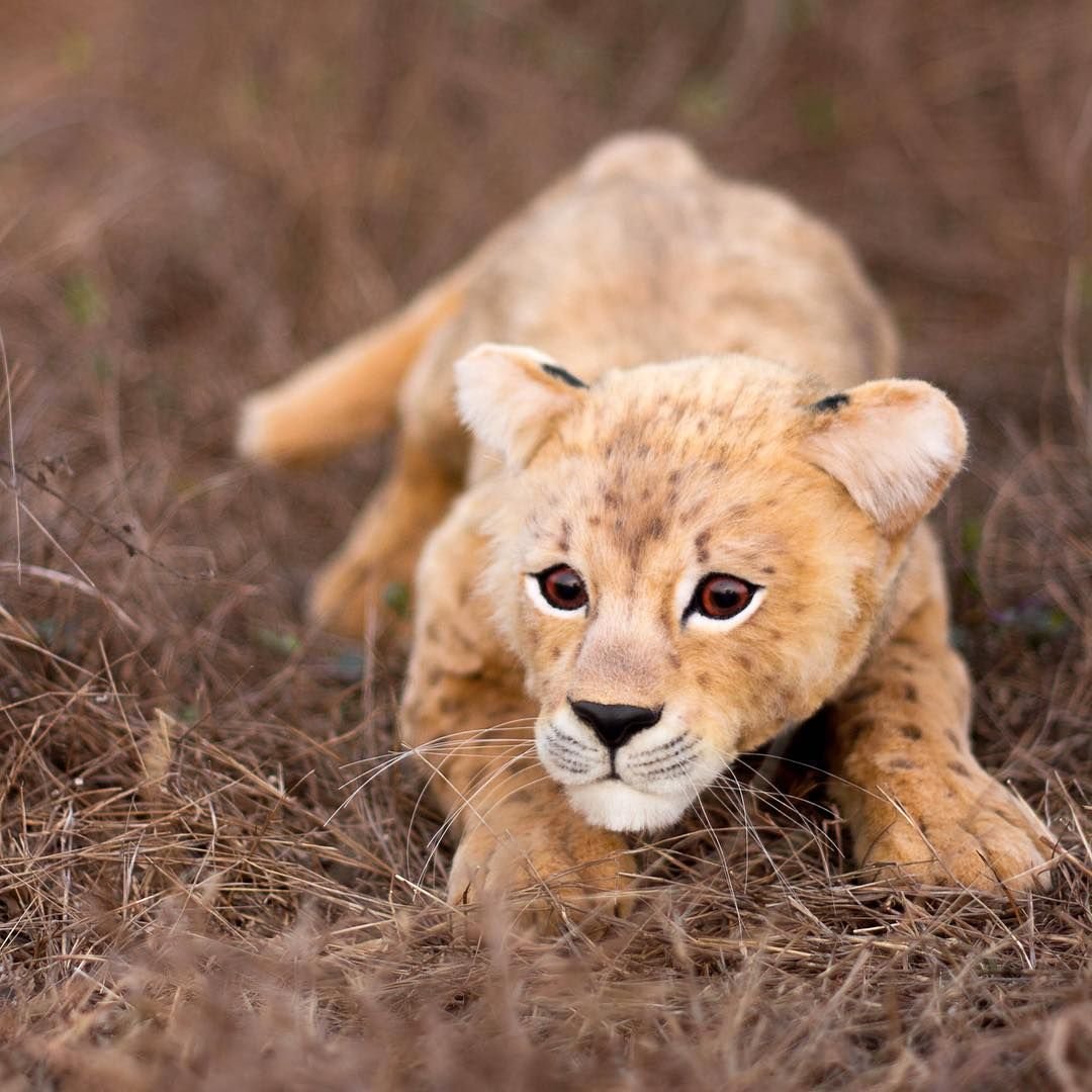 Игрушки Елены Федоряк Львенок