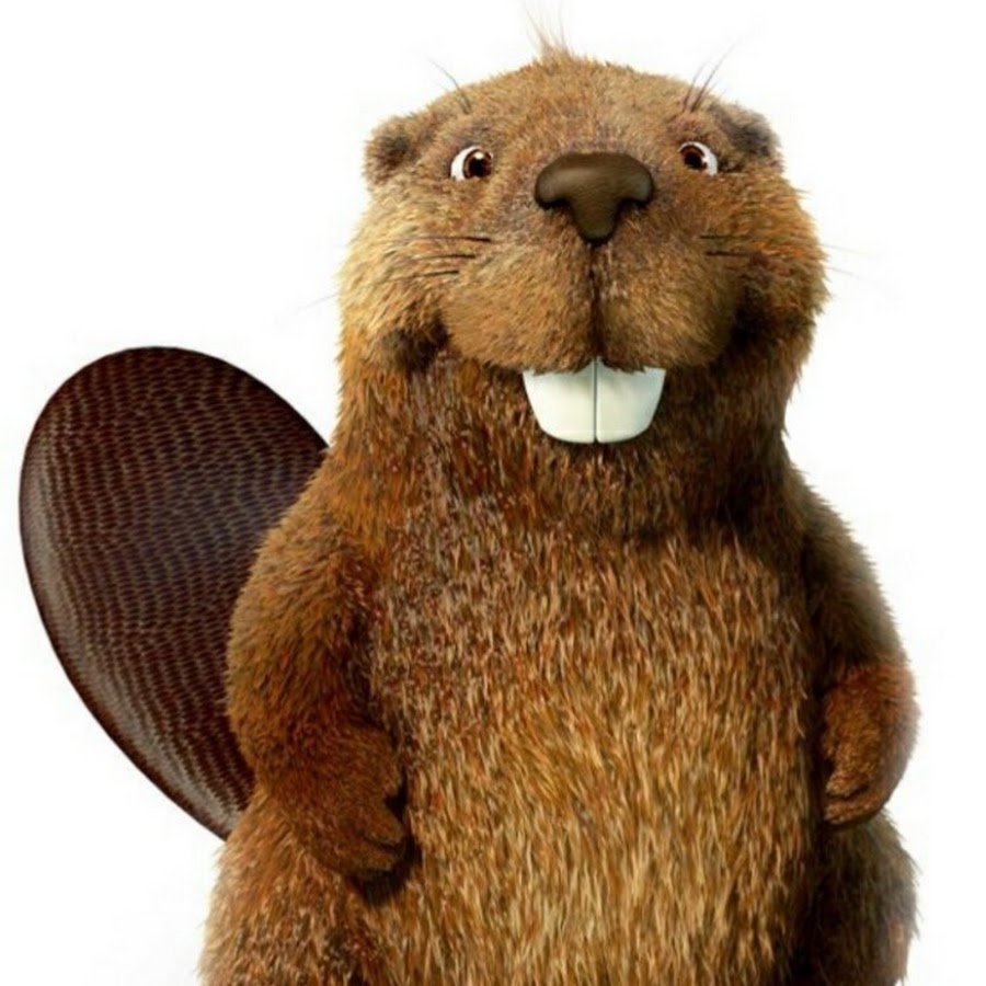 Капибара хвост