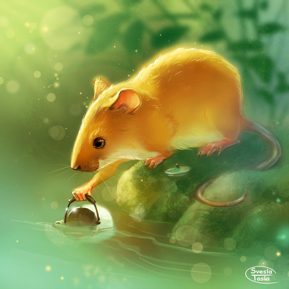 Мышь в природе