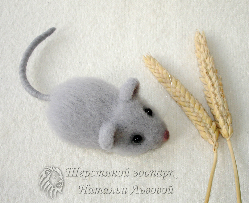 Мышь вид сбоку