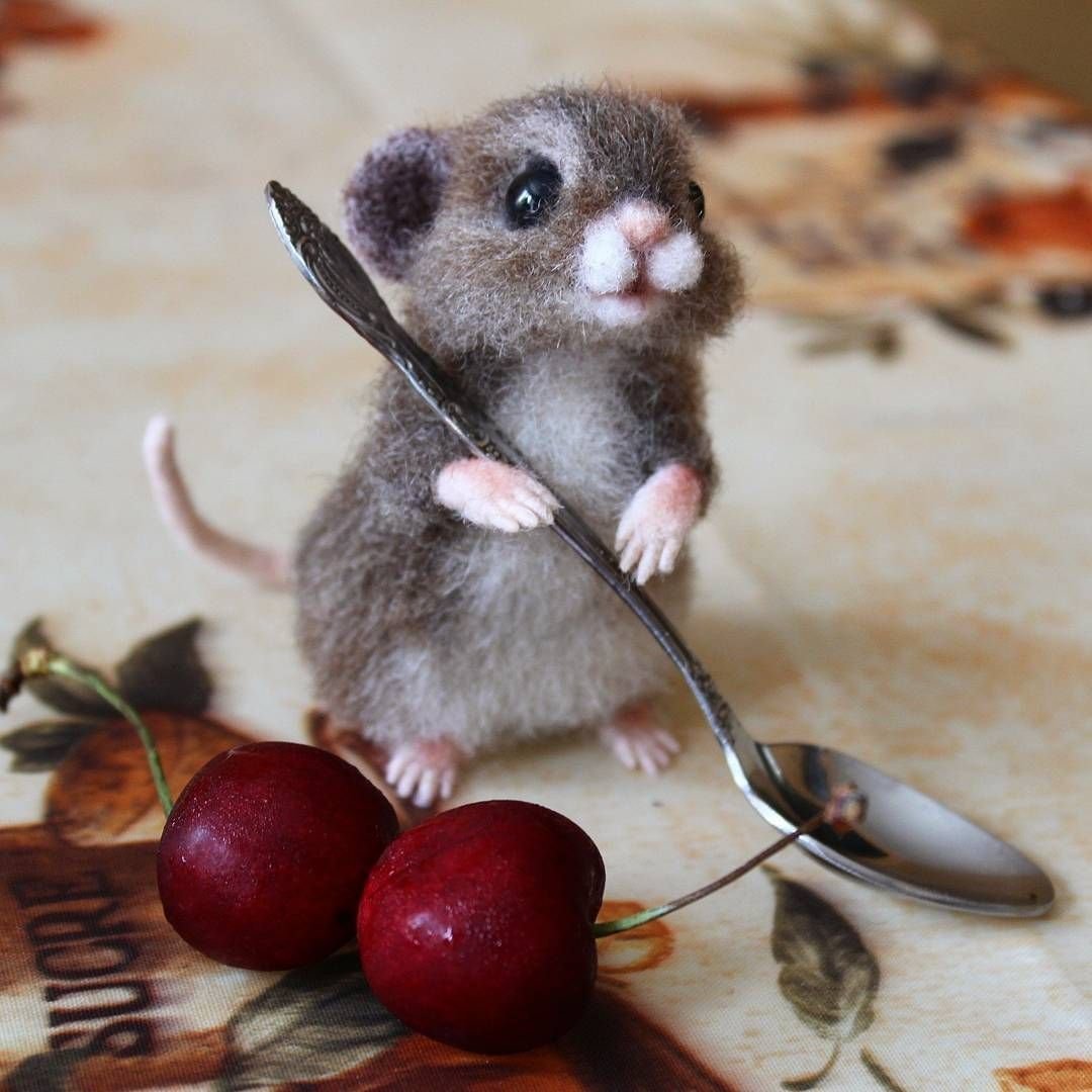 Морда крысы