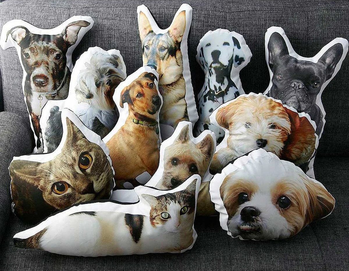 Золотистый ретривер с днем рождения