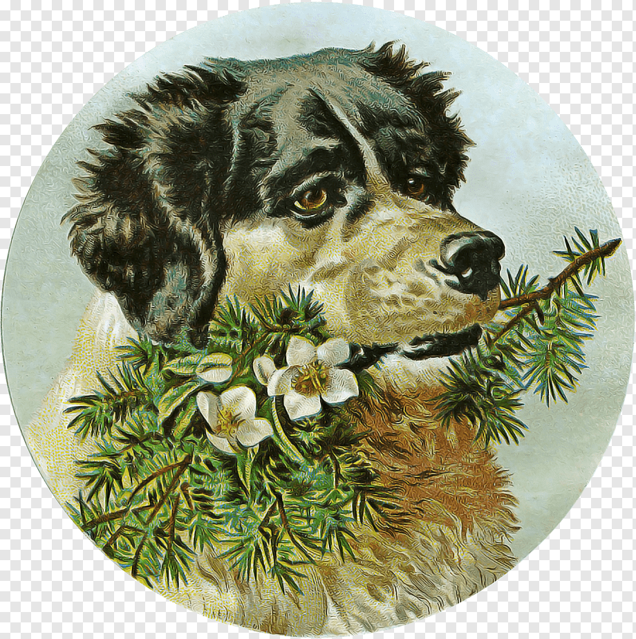 Собака под елкой