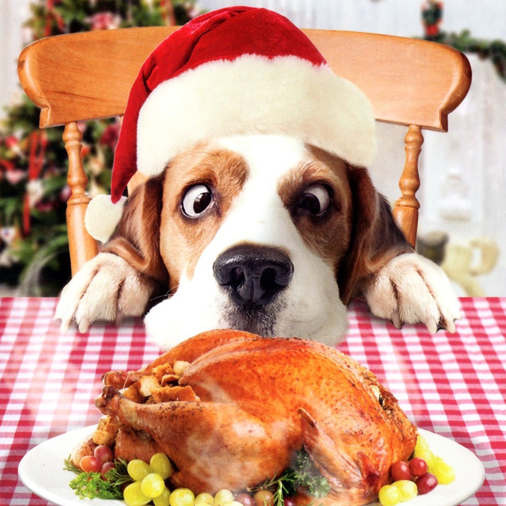 Шарик собака воздушный