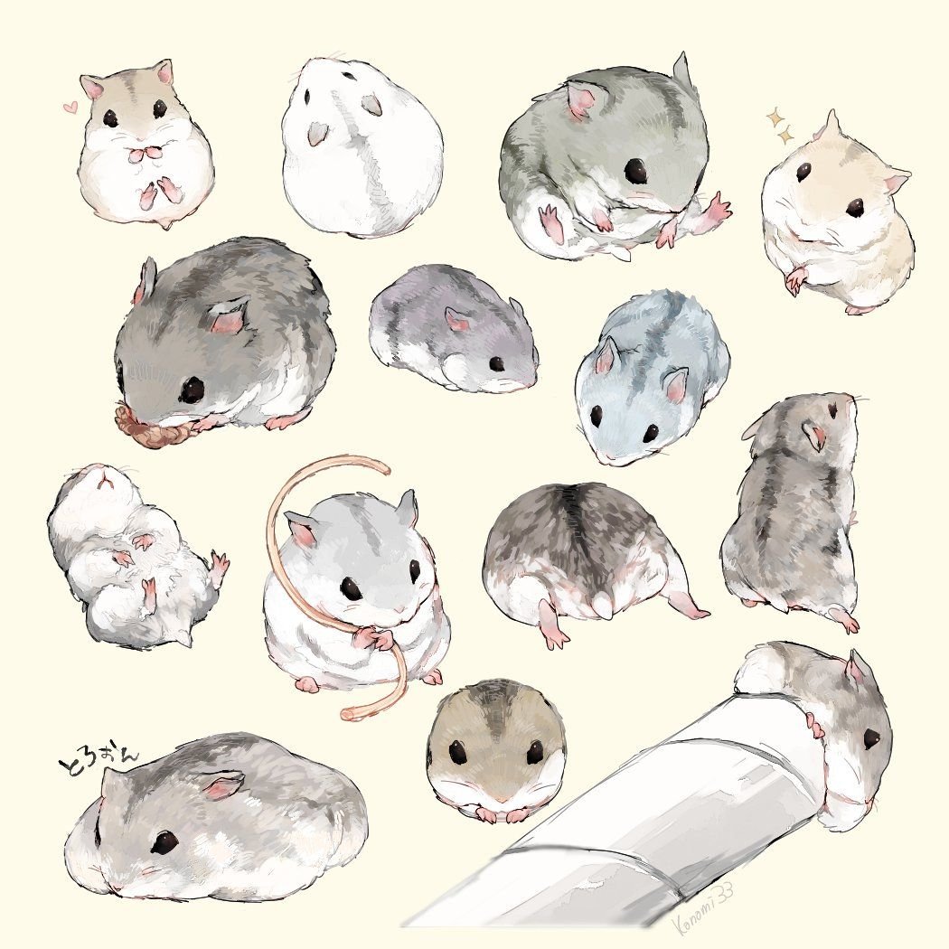 Хомяки джунгарики референсы