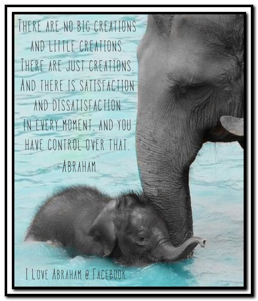 Обнимашки слоника