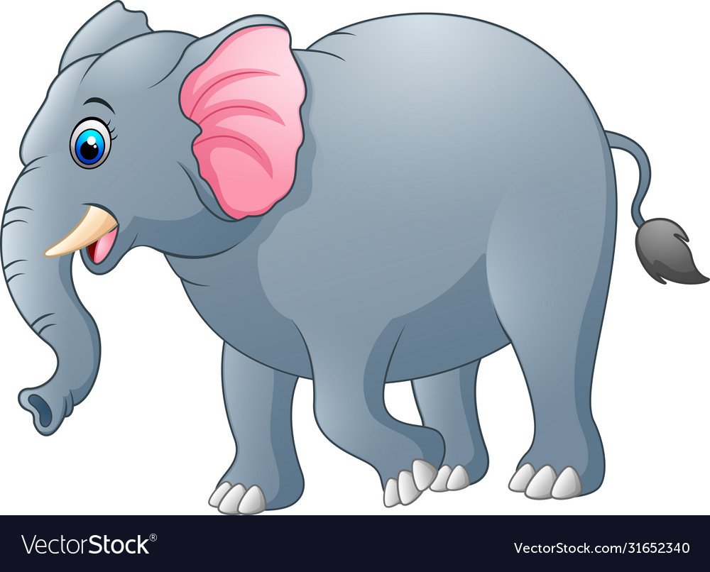 Грудь слонихи