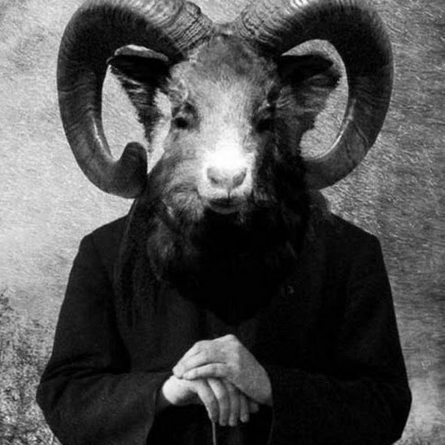 Черный козел