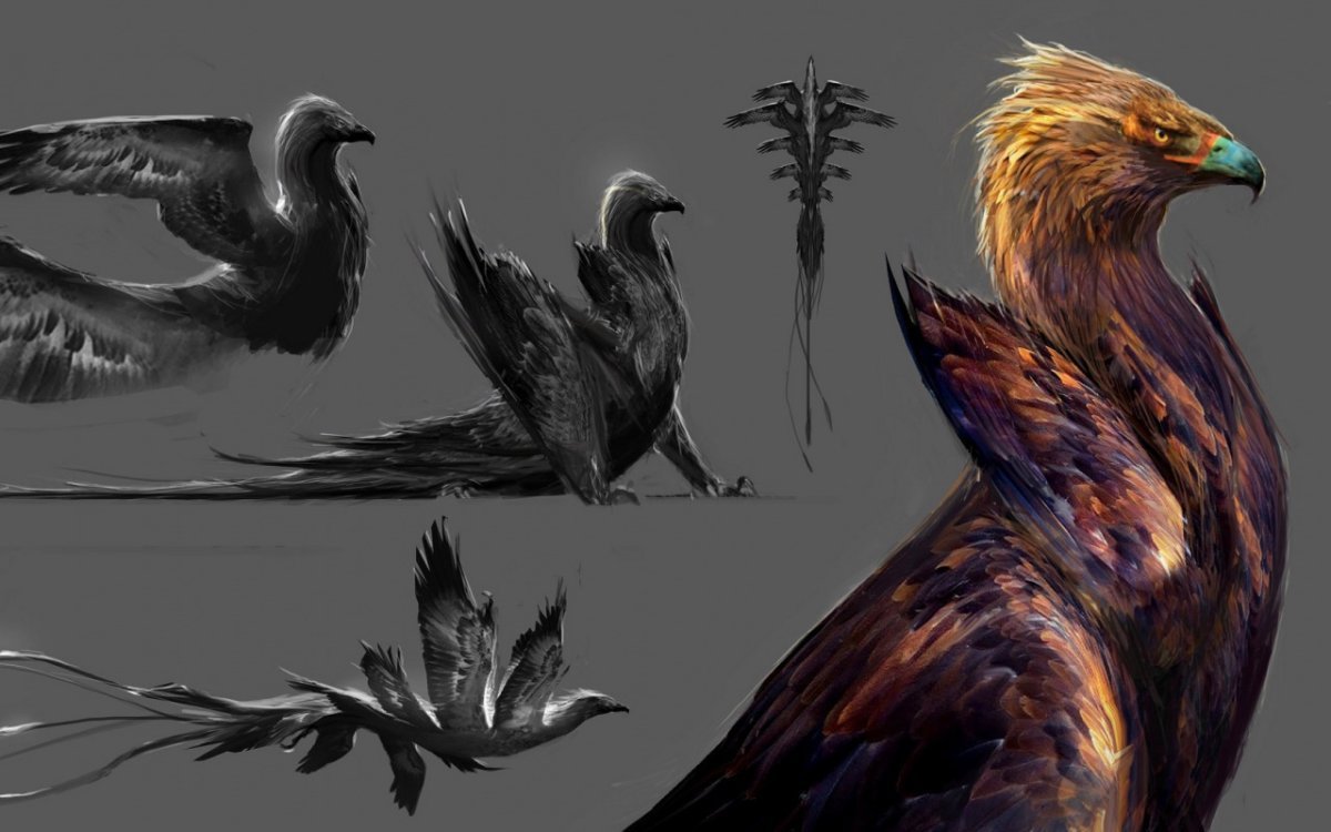 Авгурей птица Гарри Поттер