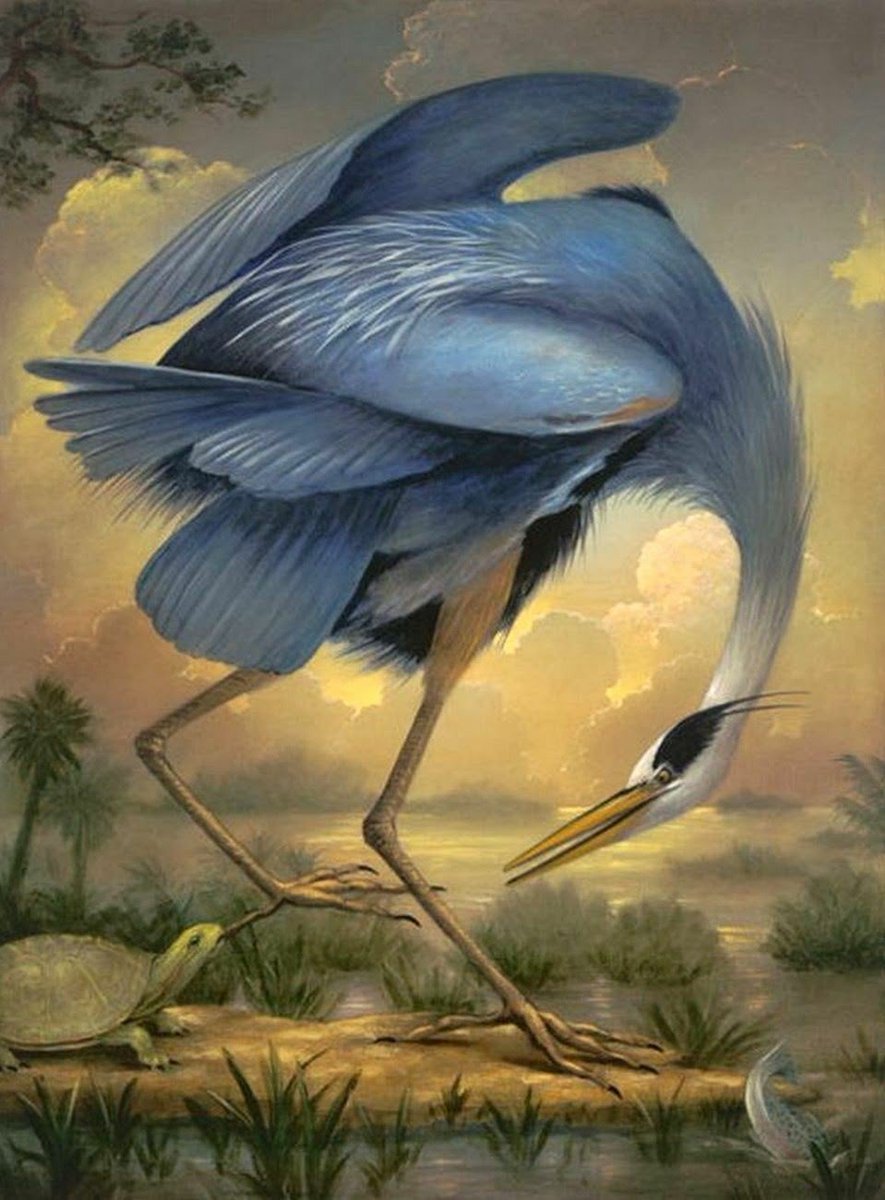 Кевин Слоан Kevin Sloan