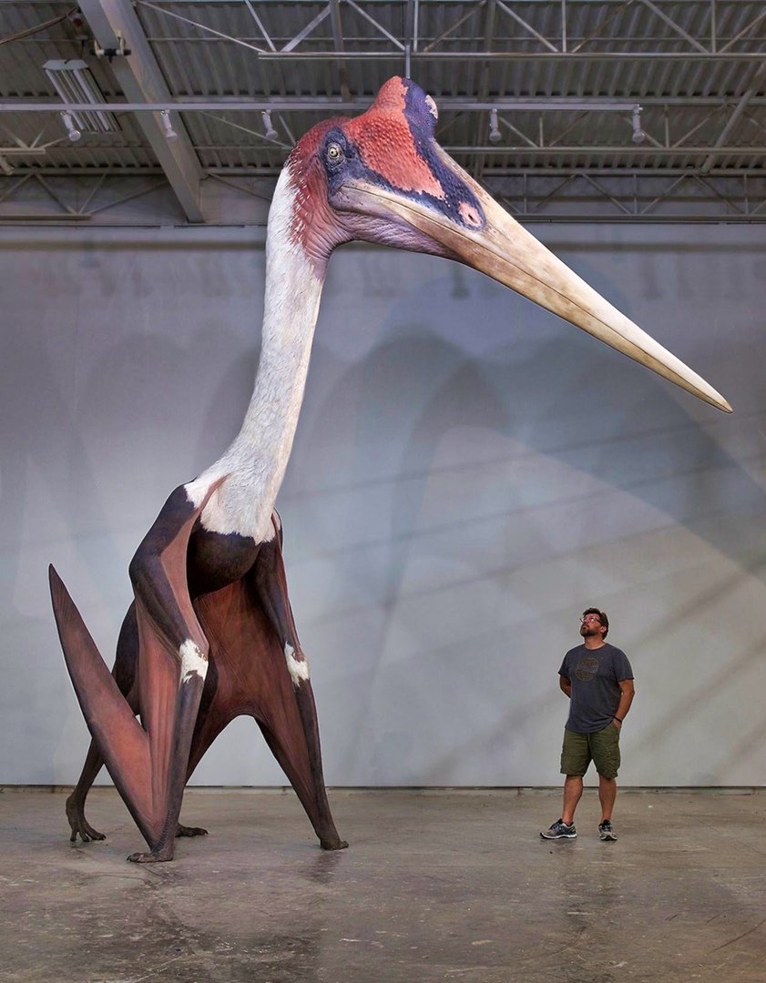 Кецалькоатль птеродактиль