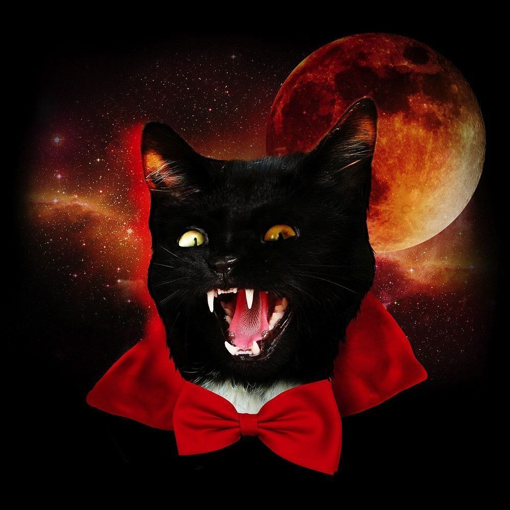 Кот Дракула