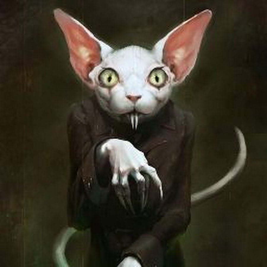 Лысые кошки арт