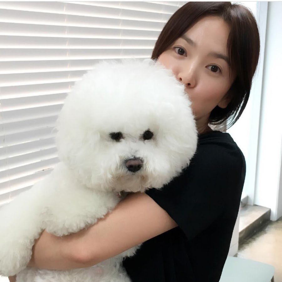 Животные на корейском