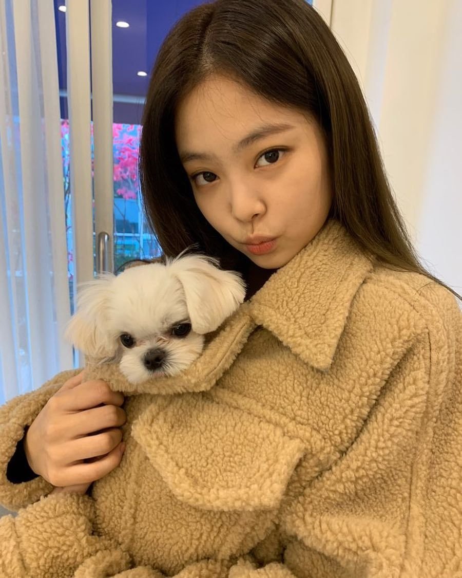 Питомец Jennie Kim