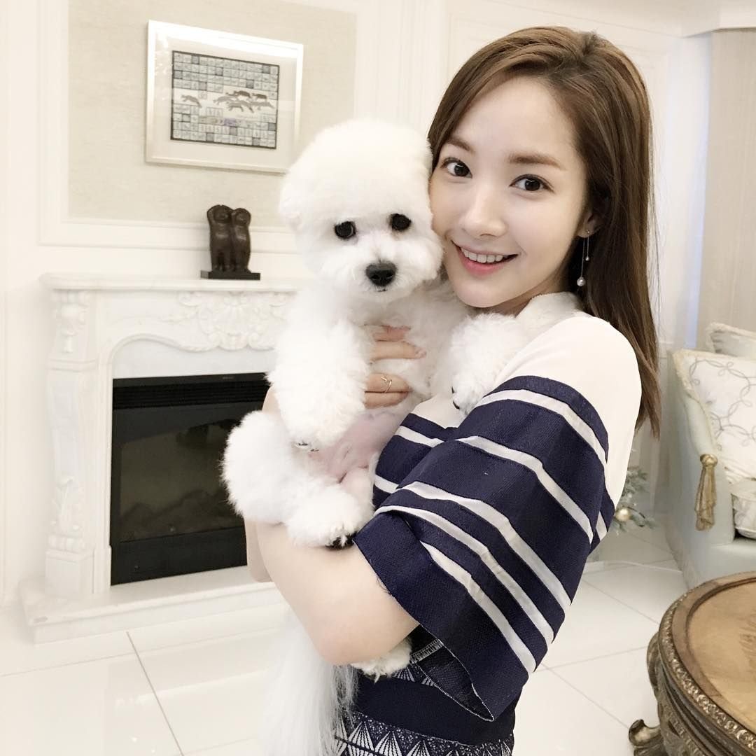 Собака пак мин Ен порода