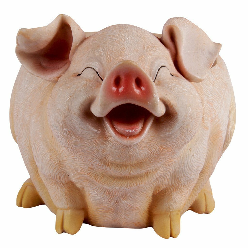 Смеющийся поросенок