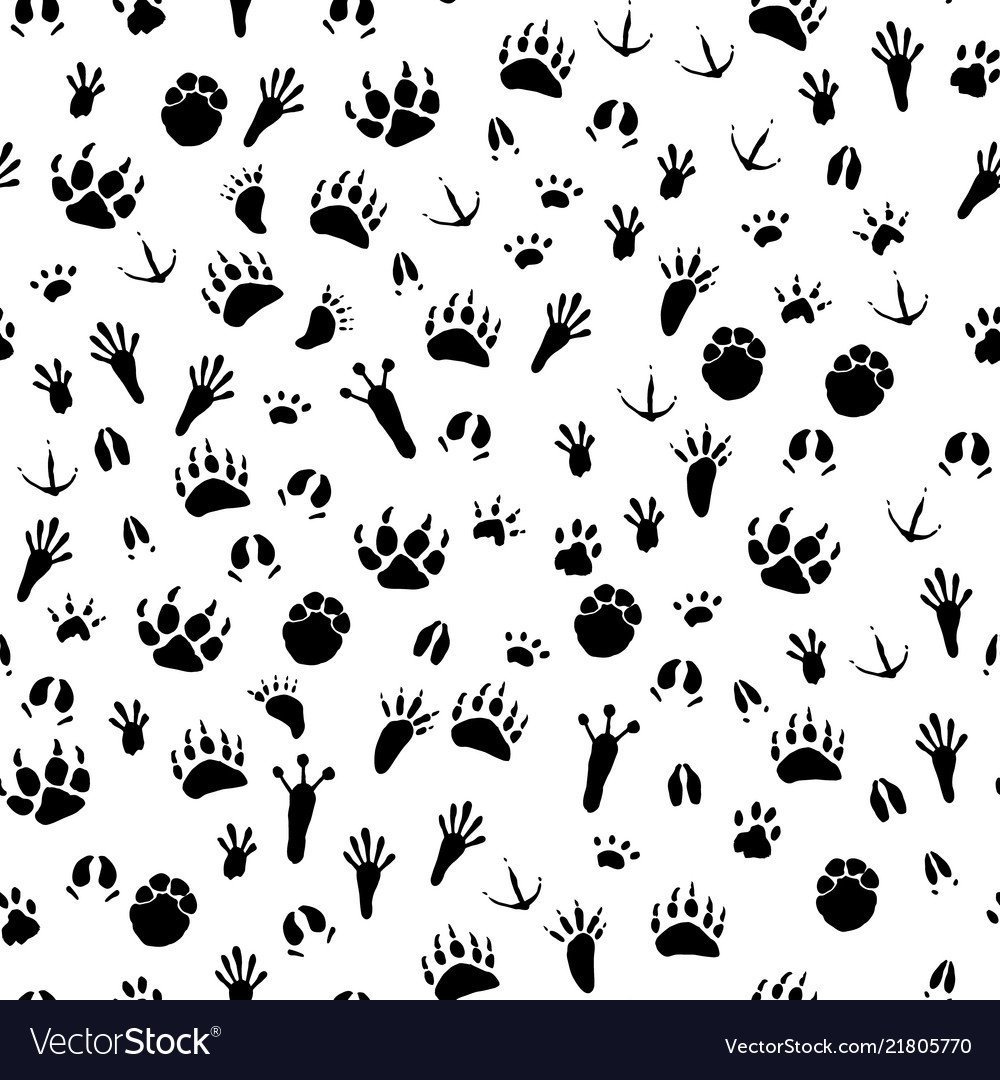 Лапки насекомых