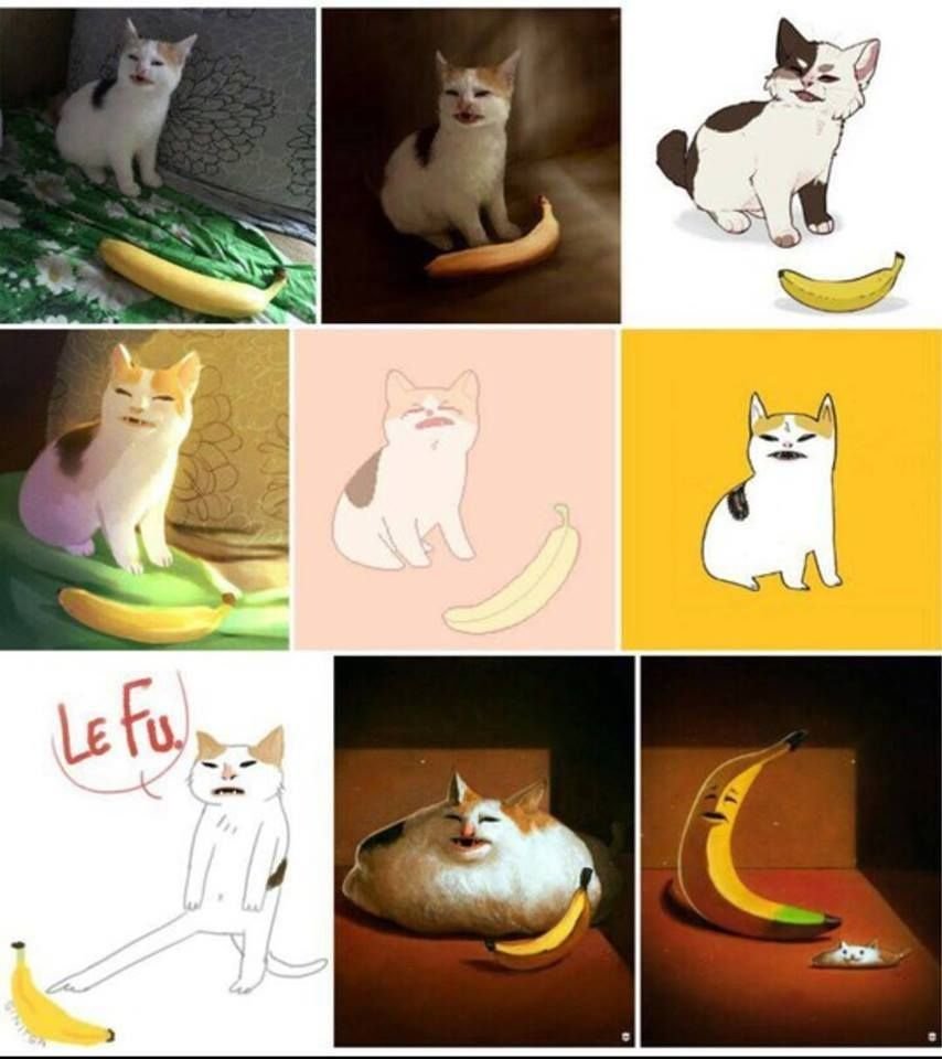 Бананья кот