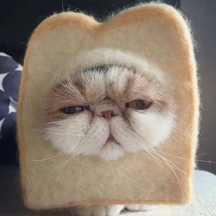 Недовольная мордашка