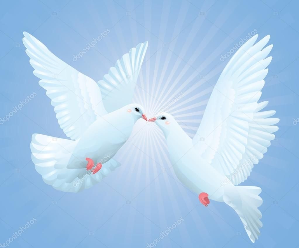 Два белых голубя в небе