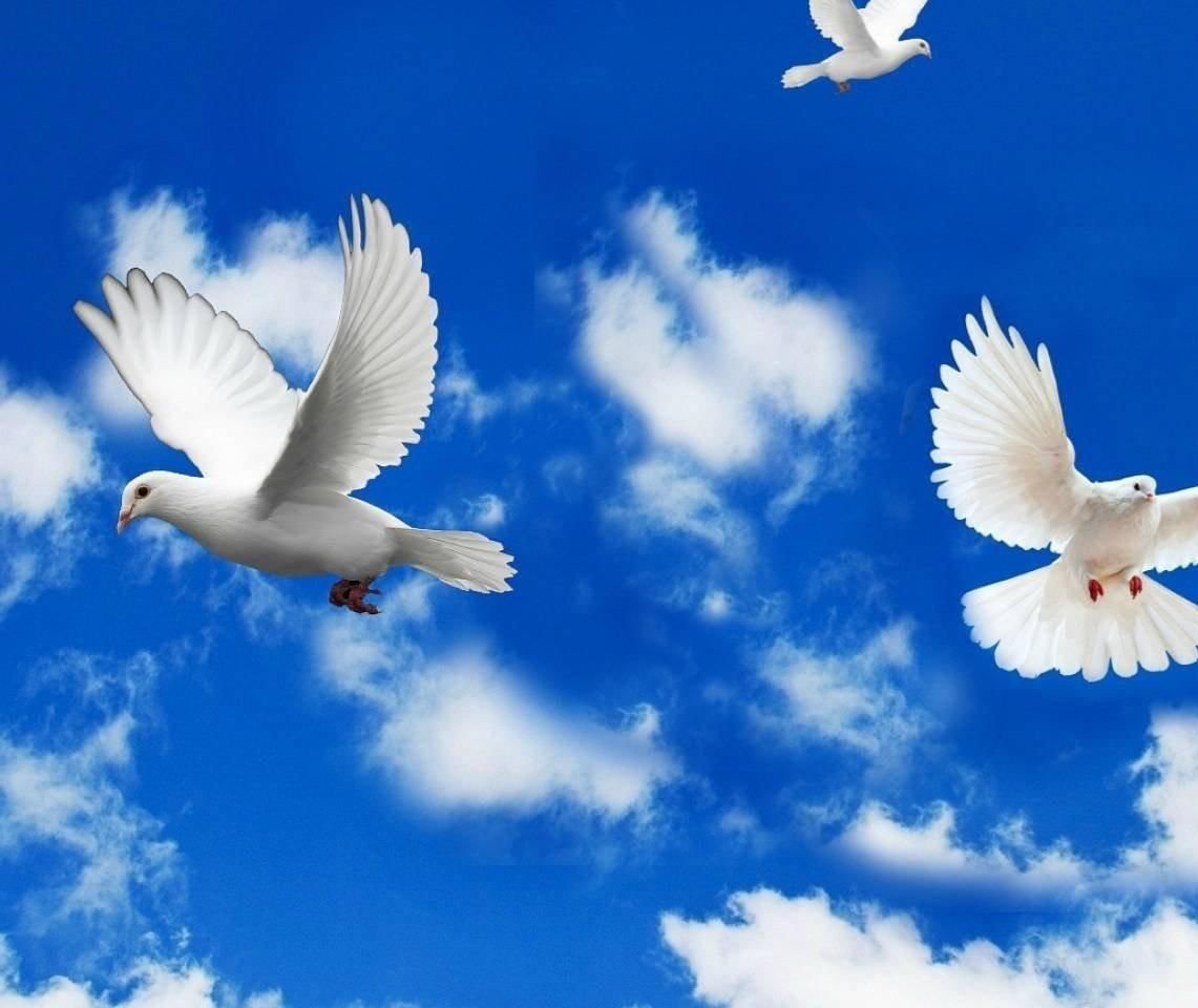 Мирное небо