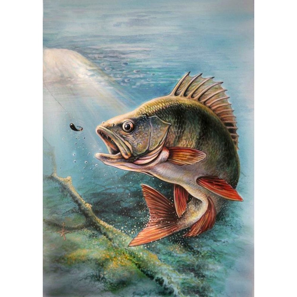 Изображение рыбы